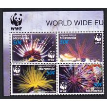 Micronesia WWF Feather Stars 4v Block of 4 WWF Logo 2005 MNH SG#1347-1350