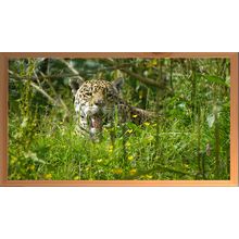 Majestic Jaguar: Guardian of the Wild A3 Pine