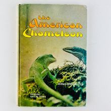 The American Chameleon William White Sterling Nature Series Hardcover Book 1977