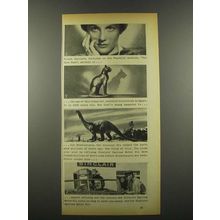 1939 Sinclair Oil Ad - Frieda Inescort