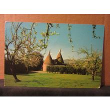 OAST HOUSES, KENT.. used postcard 1973 pm =