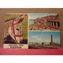 BLACKPOOL, LANCASHIRE. MULTIVIEW. used vintage postcard 1968 pm donkey =