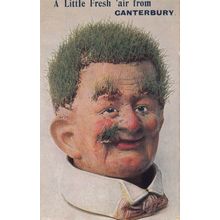 Funny Face Man in Canterbury Kent Grass Growing On Face Antique Comic Postcard