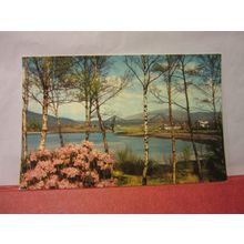 CONNEL BRIDGE, OBAN, ARGYLL unused vintage postcard Colourmaster #
