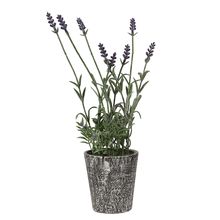 Lavendel 32cm Kunstpflanze i Topf