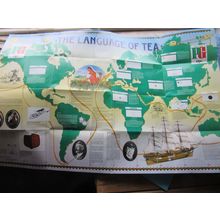 THE LANGUAGE OF TEA Brooke Bond PG Tips Wall chart unused... no cards