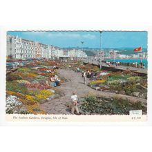 The Sunken Gardens Douglas Isle of Man Postcard 541