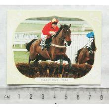 GDS Cards Champion Hurle 1994 Flakey Dove