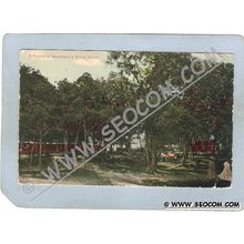 CT Mansfield's Grove Postcard A Pic-nic At Mansfield's Grove ct_box3~1127