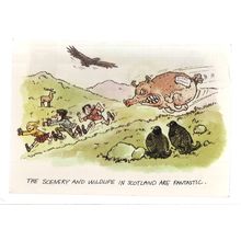 SCENERY & WILDLIFE IN SCOTLAND used vintage postcard 'Hail Caledonia' 1988 pm =