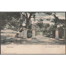 The Alameda Upper Walk, Gibraltar, c.1905 - Cumbo Postcard
