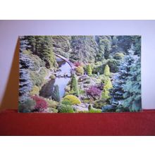 ALTON TOWERS, STAFFORDSHIRE unused vintage postcard by D.V.P. =