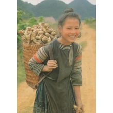 Vietnamese Woman Gathering Food Back Pack Vietnam Postcard