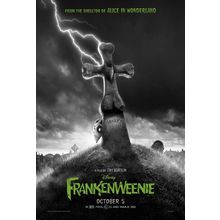 Frankenweenie (2012)_1 Movie Film Poster Canvas iconic design