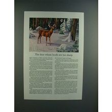 1945 Travelers Insurance Ad w/ Virginia White Tail Deer