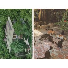 Hemingway House Patio from Sloppy Joes Restaurant USA 2x Postcard