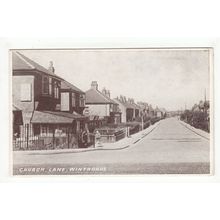 Church Lane Winthorpe Postcard Lincolnshire Unique Series 1970s