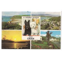 A DOUBLE SCOTCH FROM OBAN, SCOTLAND multiview used vintage postcard 1969 pm =