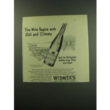 1949 Widmer's Neapolitan Rhine Wine Ad - Fine wine begins with soil and climate