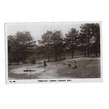 Wimbledon Common, Caeser's Wall, Surrey, RP Postcard.