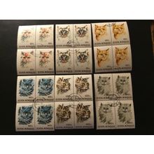 ICOLLECTZONE ROMANIA 3822-27 Complete Cats Set Blocks VF used