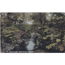 EC997 SULBY GLEN -THOLT-E-WILL BRIDGE . PRINTED POSTCARD