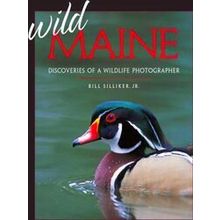Wild Maine