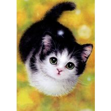 Inspiration Kitty - Tree Free Greeting Card - 14368