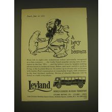 1963 Leyland Beaver Truck Ad - A bevy of beavers