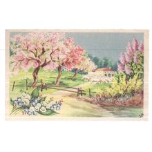 FRENCH used antique postcard TREES OF BLOSSOM not posted =