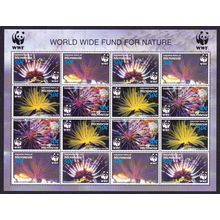 Micronesia WWF Feather Stars Sheetlet of 4 sets 2005 MNH SG#1347-1350