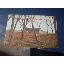 vintage postcard birthplace of davy crockett limestone tennessee