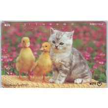 Kitten & Ducklings Japan NTT Phone Card