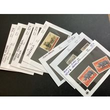 ICOLLECTZONE Topical Collection Animals Rhino Lot (A900-157)