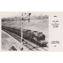 LNE Train at Brentwood Essex Cutting Railway Real Photo Postcard