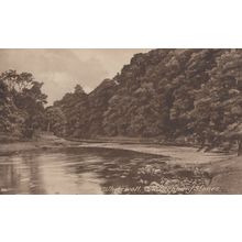 Whitewell Stepping Stones Lancashire River Antique Postcard
