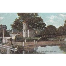 Lingfield Old Cage & Pond Surrey Unused Ex Postcard