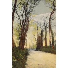 Winchester Minster Lane Barrow In Furness Antique Old Postcard