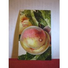 PEACHES used Birthday antique postcard by Raphael Tuck art series 1905 pm =