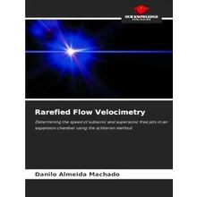 Rarefied Flow Velocimetry - Danilo Almeida Machado