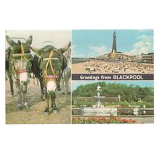 multiview, BLACKPOOL, LANCASHIRE. .. used vintage postcard by Bamforth 1975 pm =