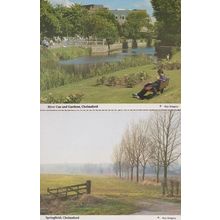 River Can & Springfield Farm Fields in Autumn 2x Chelmsford Postcard s