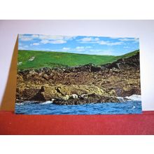 SEAL ISLAND, ST. IVES .CORNWALL .unused vintage postcard by NPO DEXTER =