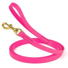 Dog Pet Leash Passionfruit Pink w/ Brass Hardware W 3/4" - L15'