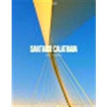 Santiago Calatrava The Bridges by Alexander Tzonis; Rebecca Caso Donadei