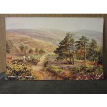 WEBBER'S POST, EXMOOR, by Brian Gerald used postcard. by Valentine 1951 pm =