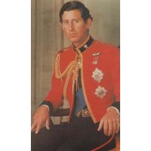Prince Charles Colonel In Chief Welsh Military Regiment Royal Wedding Postcard