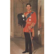 Prince Charles Colonel Of The Wales Welsh Guards Uniform Wedding Royal Postcard