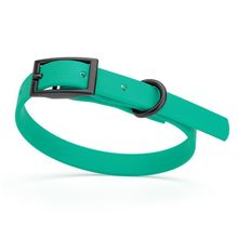 Dog Pet Waterproof Collar - W1/2" x L9"-12" - Teal