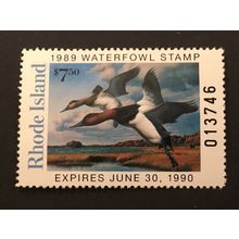 ICOLLECTZONE US Rhode Island 1989 #1 Duck Stamp VF NH